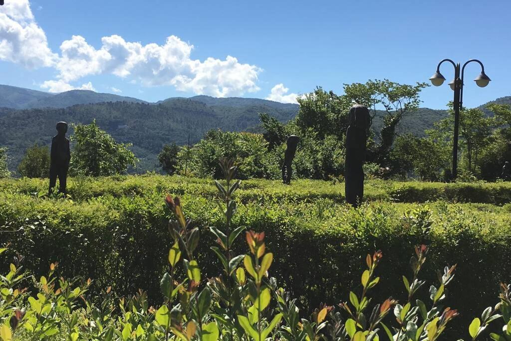 Authentic Villa Surrounded By Nature Terni Extérieur photo